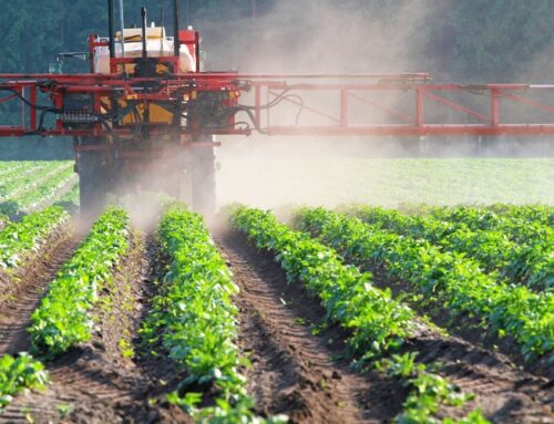 B vitamins may help counteract pesticides detrimental to fertility